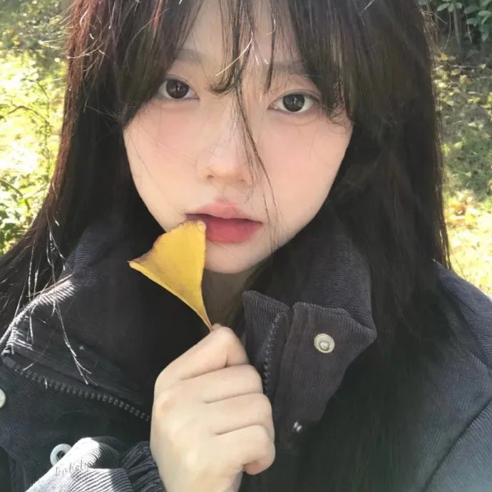 爱战争
